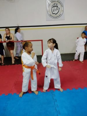 Projeto EDUCANDO com Karatê-Do